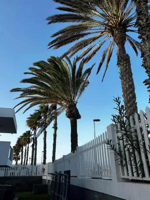 Plano de Apartamento Maypa 4 Arena