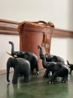 Animales en el apartamento o alrededores