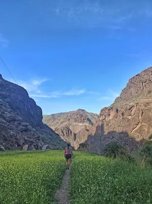 Paisaje cerca de este apartamento